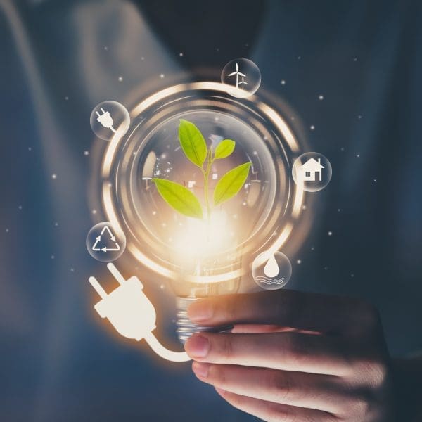 Sustainability action plan