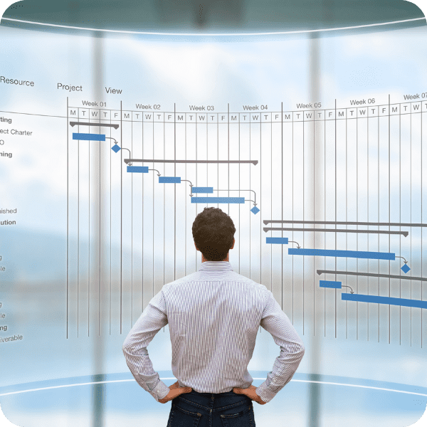 Manage Projects