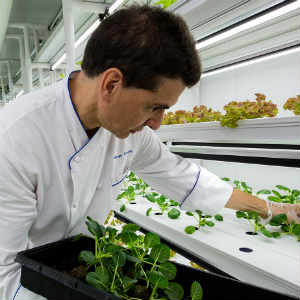 CropBox