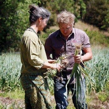 sustainability