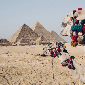 TUI Tourism Recovery Programme