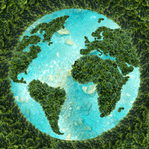UN Sustainable Development Goals