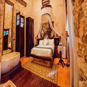 Vignette Collection